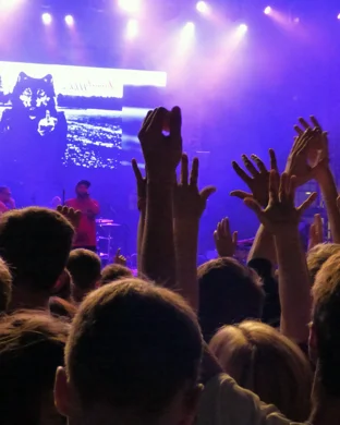 Red NOT Chili Peppers - A Tribute to Red Hot Chili Peppers