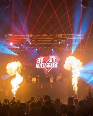 Live concert by Dan Kelly