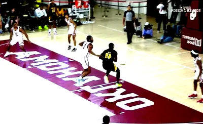 Arkansas-Pine Bluff Golden Lions