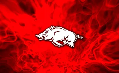 Arkansas Razorbacks