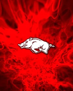 Arkansas Razorbacks vs. Oral Roberts Golden Eagles