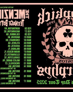 Live concert by Dropkick Murphys