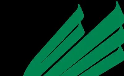 North Texas Mean Green Football