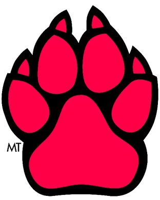 South Dakota Coyotes 