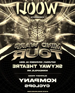 Live concert by Wooli