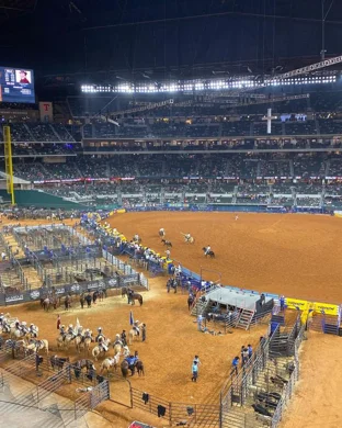 Extreme Dwarfanators Wrestling